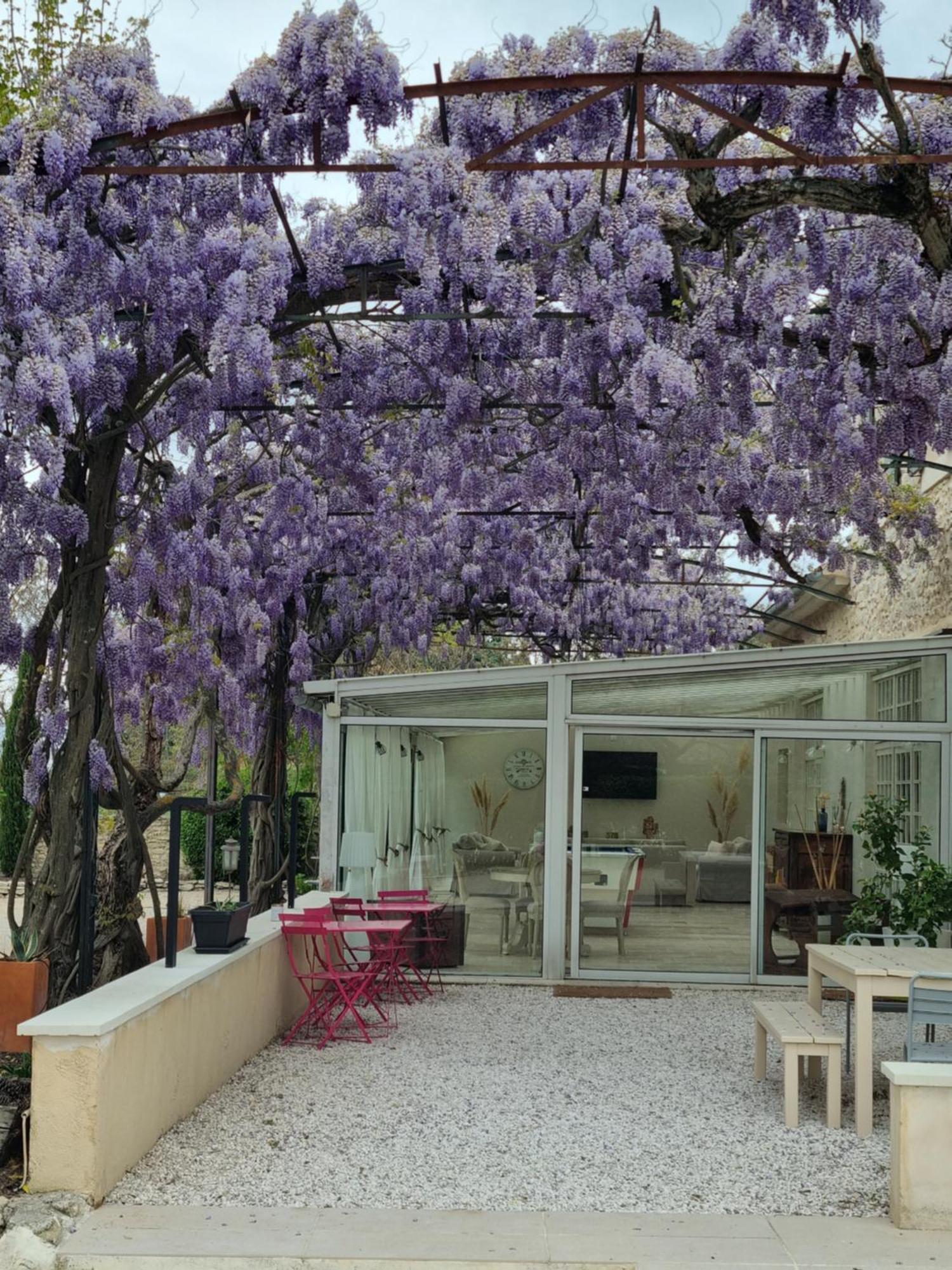La Bastide Des Arts Bed and Breakfast Saumane-de-Vaucluse Buitenkant foto